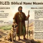 Meaning of Aiden in the Bible